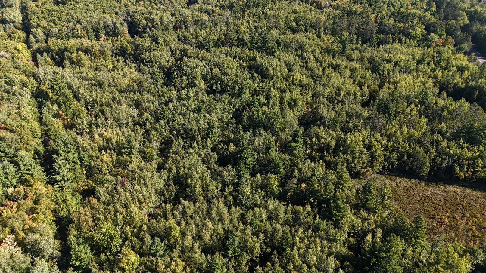 Tbd Estates Property Photo 8