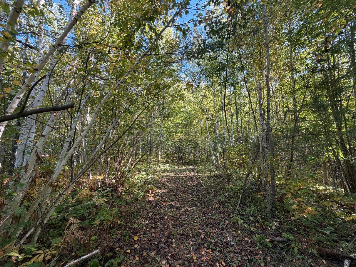 Tbd Estates Property Photo 9