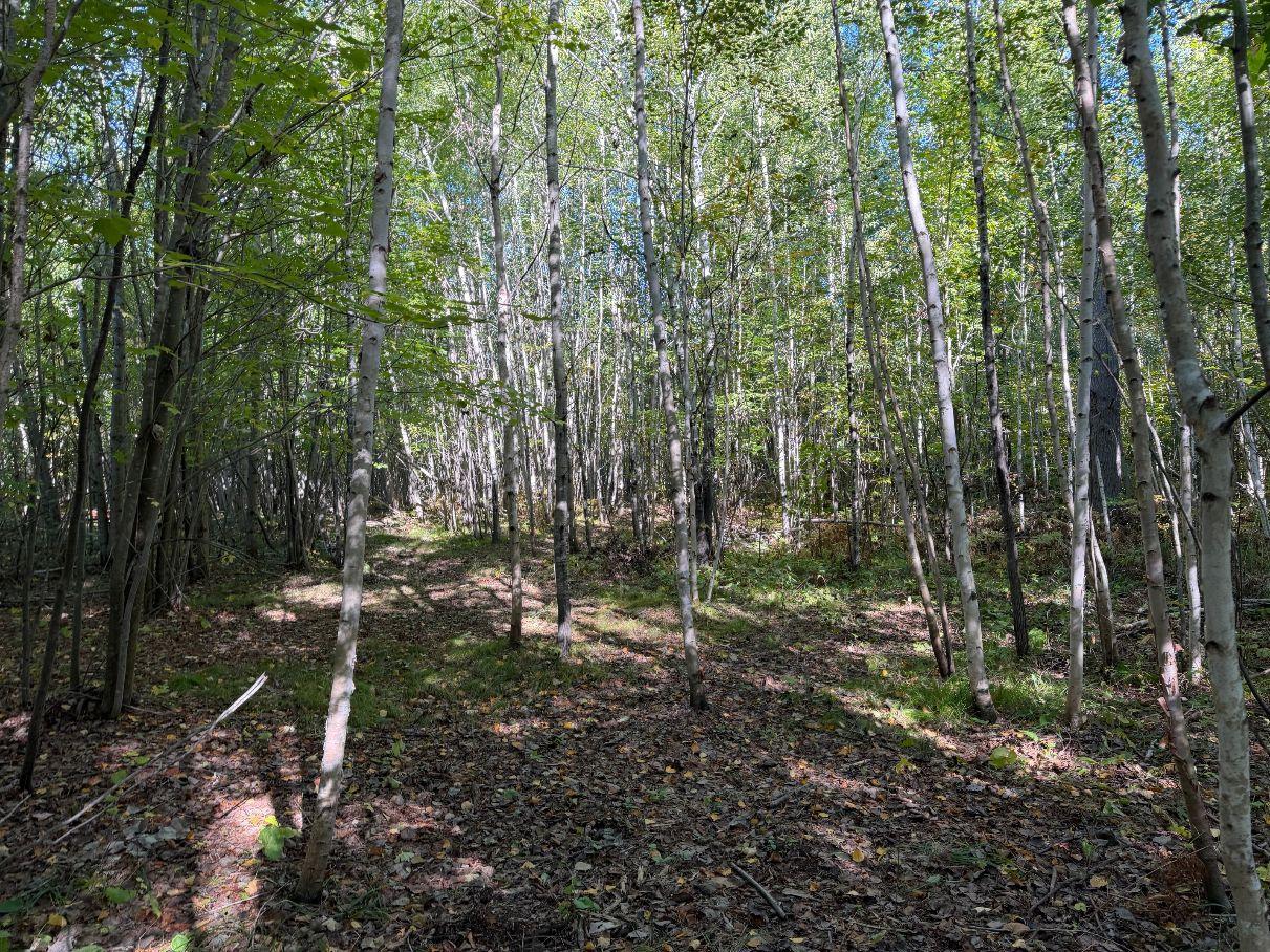 Tbd Estates Property Photo 10