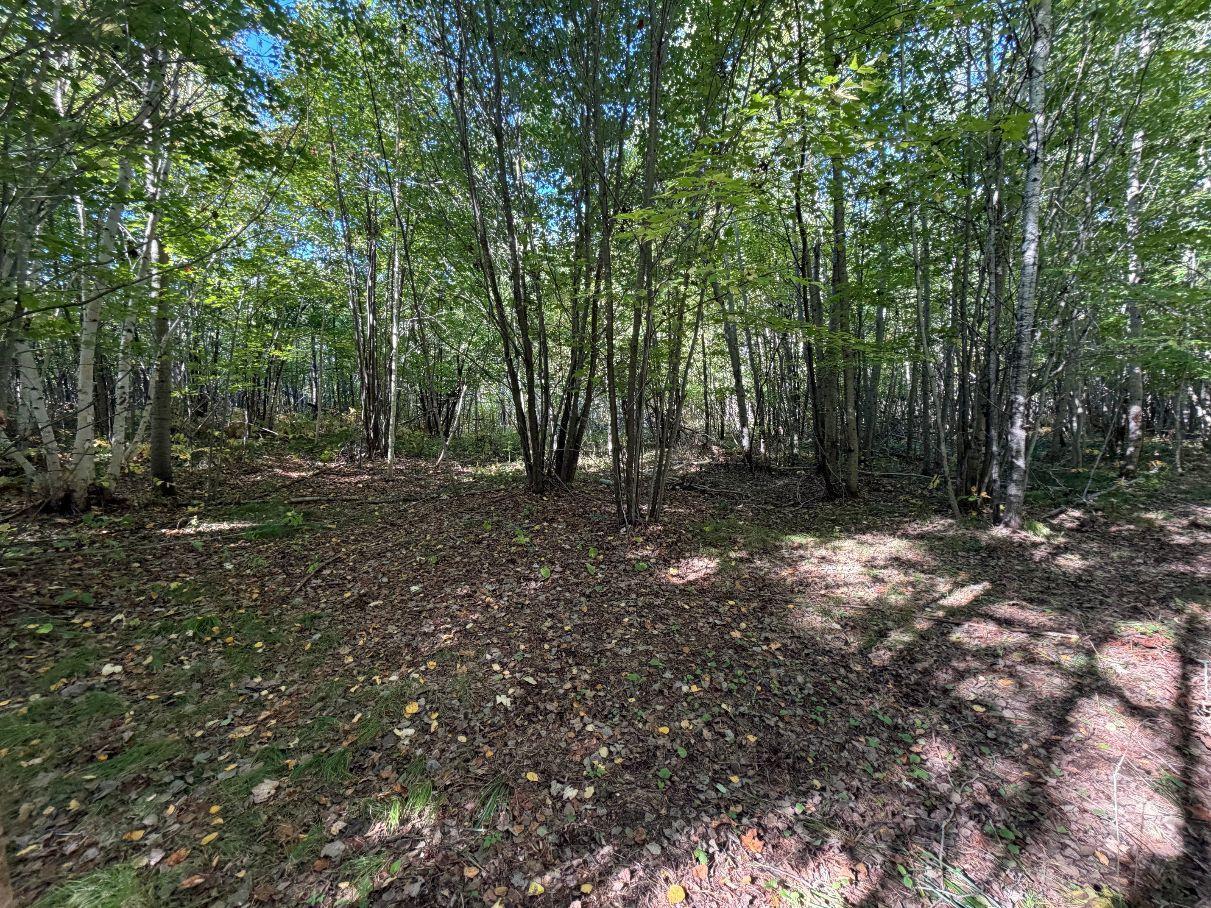 Tbd Estates Property Photo 11