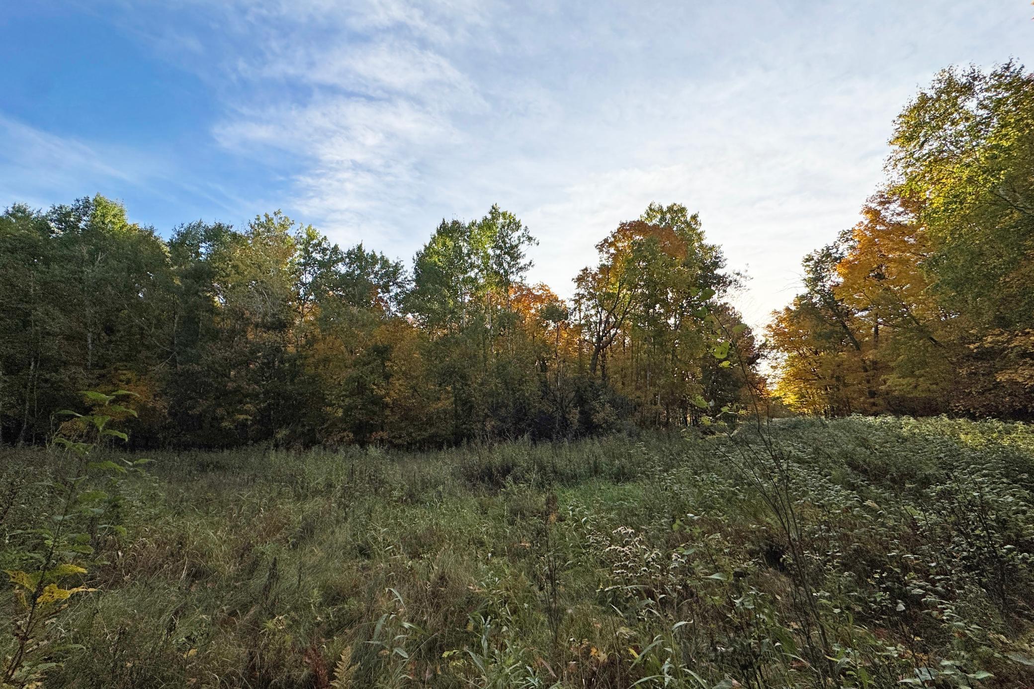 0000 Marthas Road Property Photo 32
