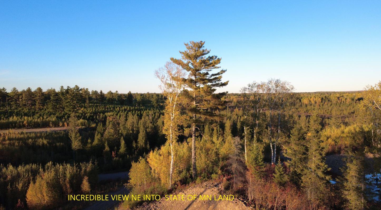 2023 Moose Lake Road Property Photo 6