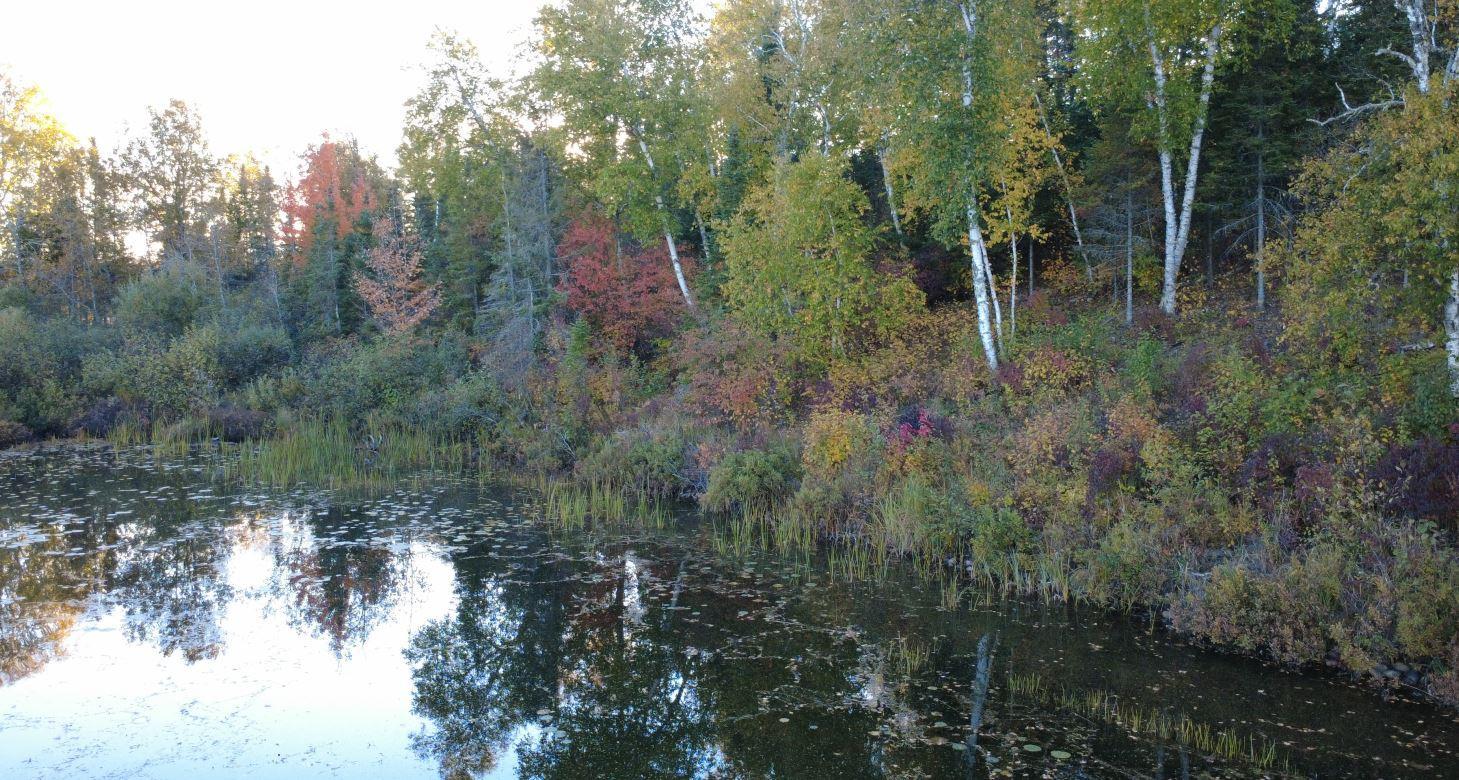 2023 Moose Lake Road Property Photo 13