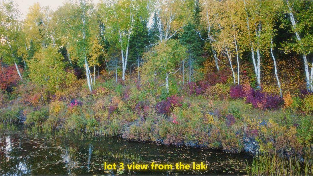 2023 Moose Lake Road Property Photo 14