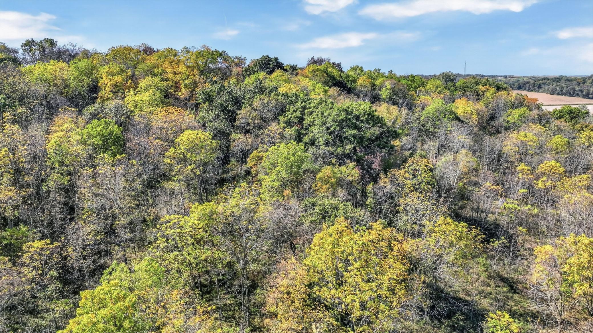 Tbd N Creek Road Property Photo 9