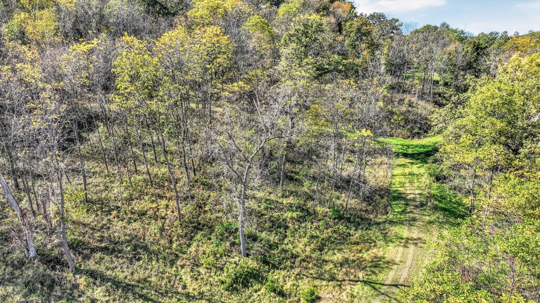 Tbd N Creek Road Property Photo 10