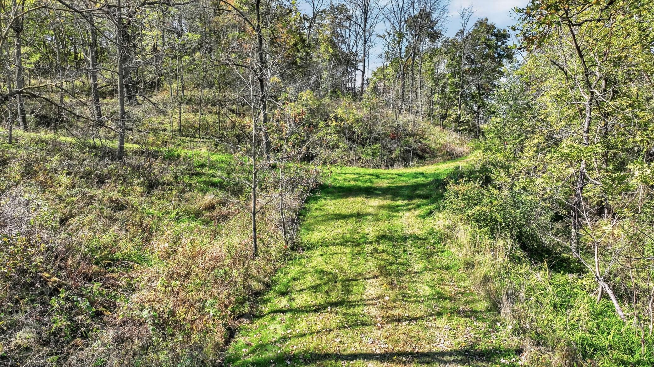 Tbd N Creek Road Property Photo 12