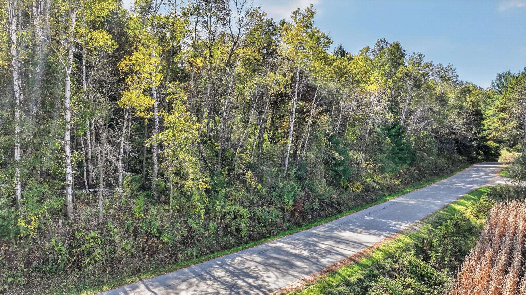 Tbd N Creek Road Property Photo 15