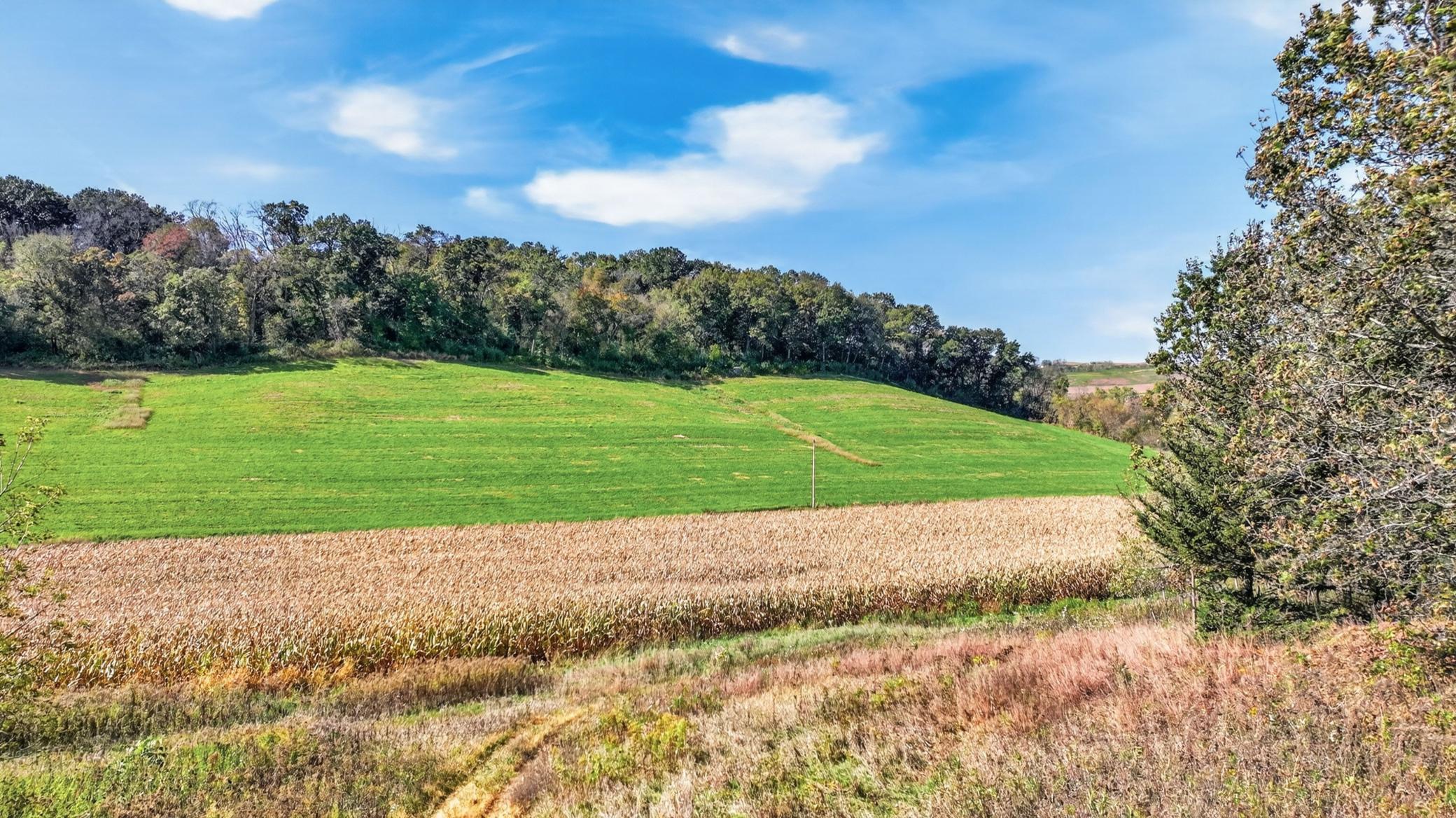 Tbd N Creek Road Property Photo 20