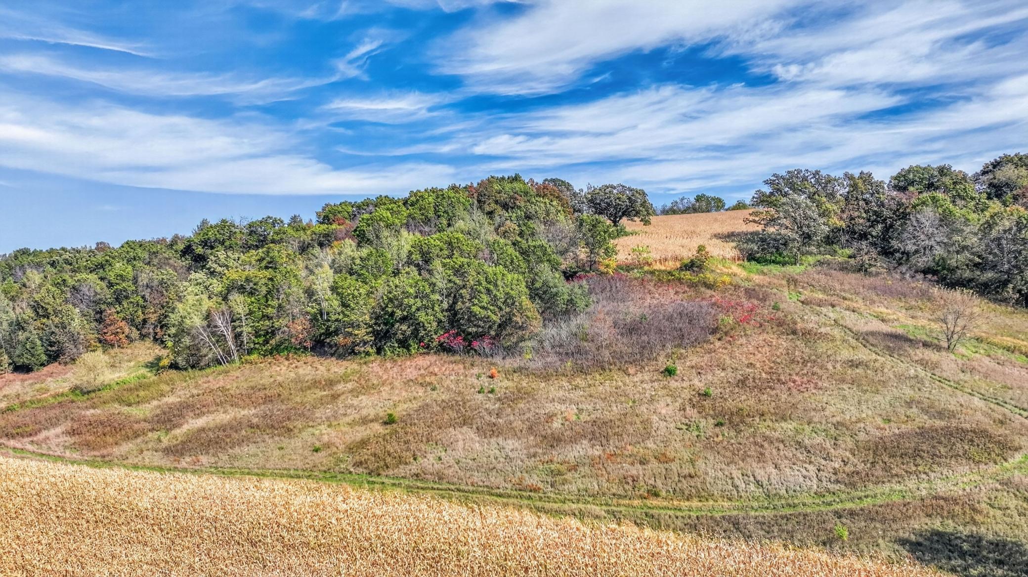 Tbd N Creek Road Property Photo 21