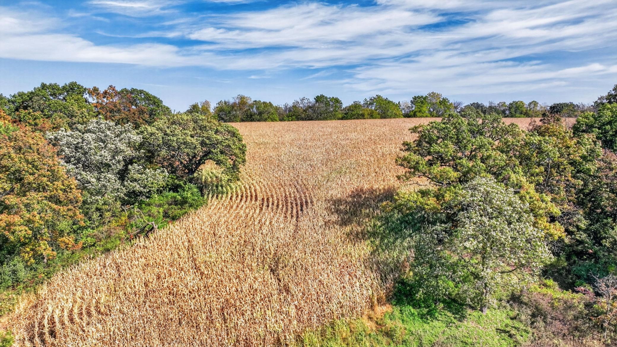 Tbd N Creek Road Property Photo 22
