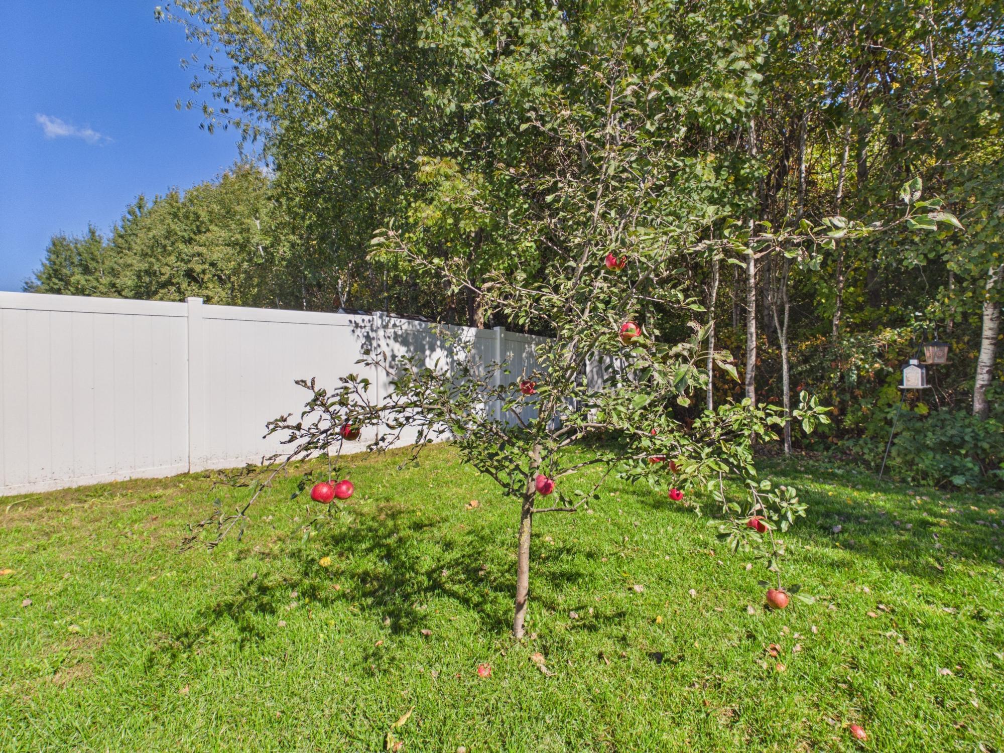 38377 Hunters Ridge Trail Property Photo 31