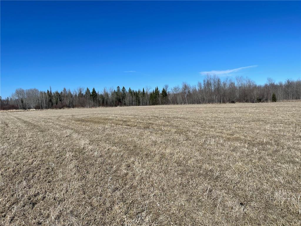 Tbd County Hwy #133 Property Photo 4