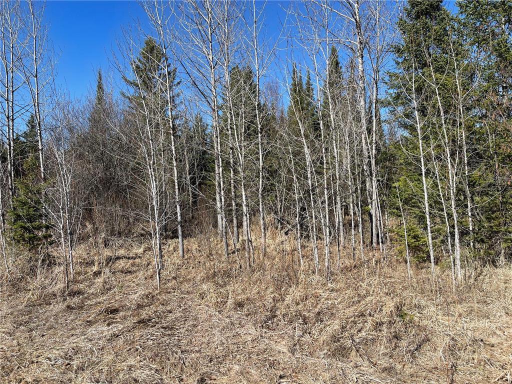Tbd County Hwy #133 Property Photo 6