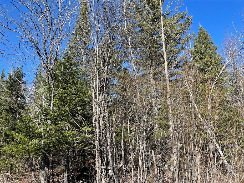 Tbd County Hwy #133 Property Photo 7