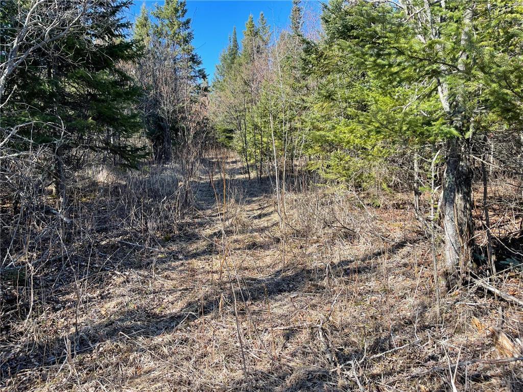Tbd County Hwy #133 Property Photo 8