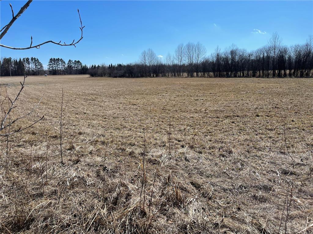 Tbd County Hwy #133 Property Photo 10