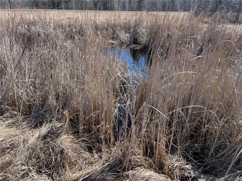 Tbd County Hwy #133 Property Photo 11