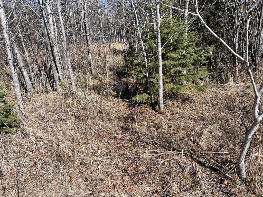 Tbd County Hwy #133 Property Photo 12