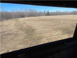 Tbd County Hwy #133 Property Photo 15