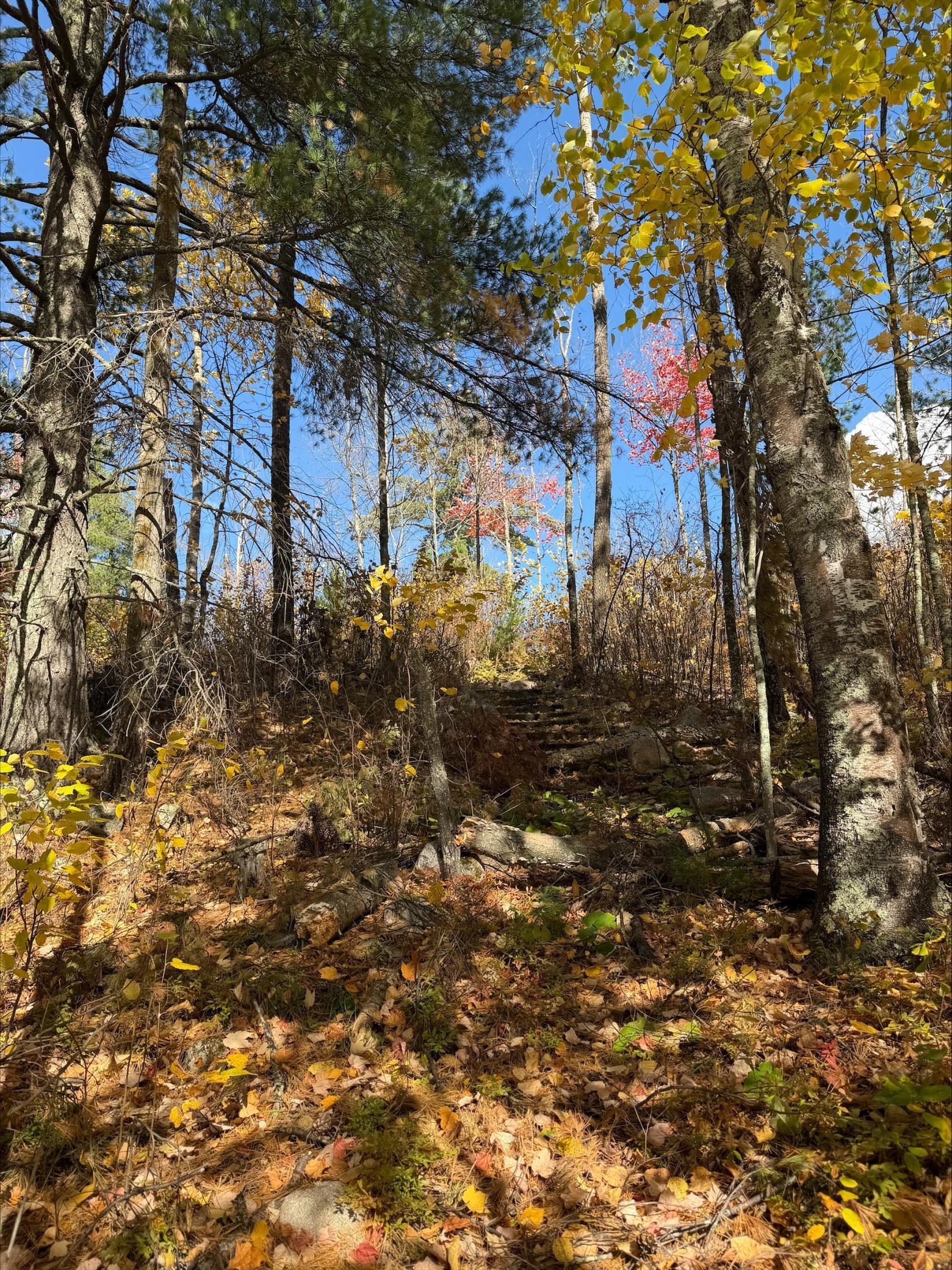 5753 Sunset Road Property Photo 6