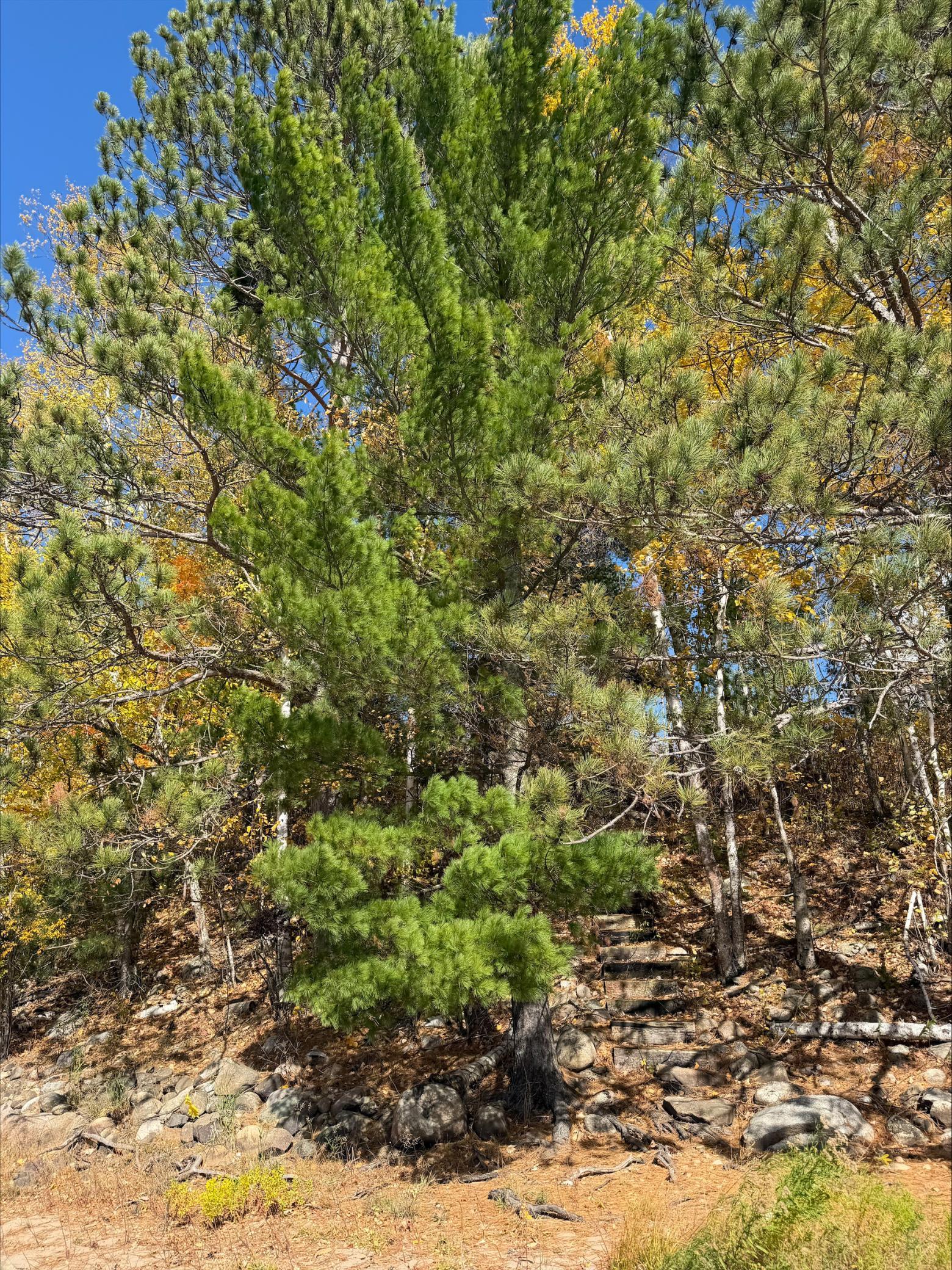 5753 Sunset Road Property Photo 8