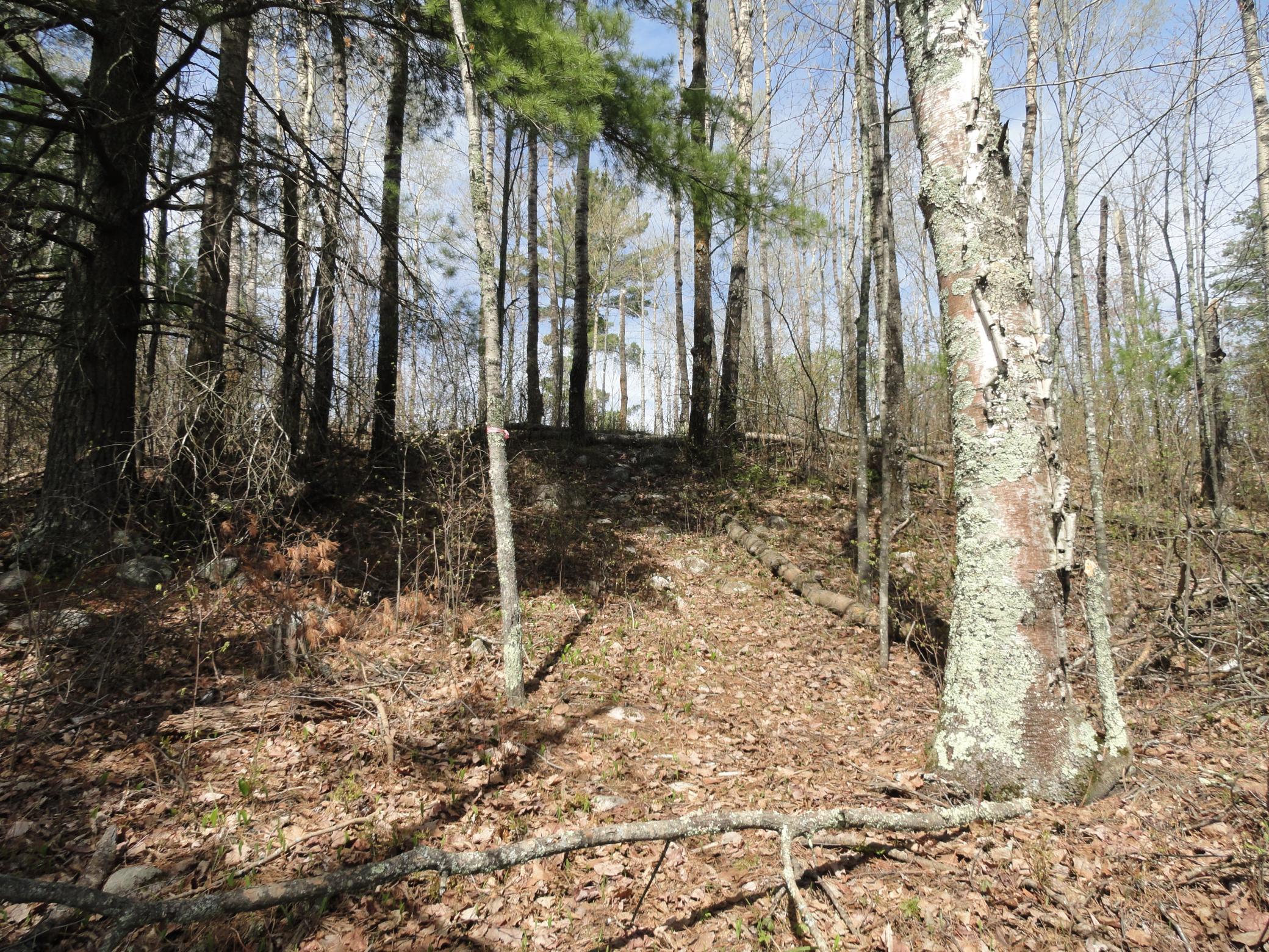 5753 Sunset Road Property Photo 14
