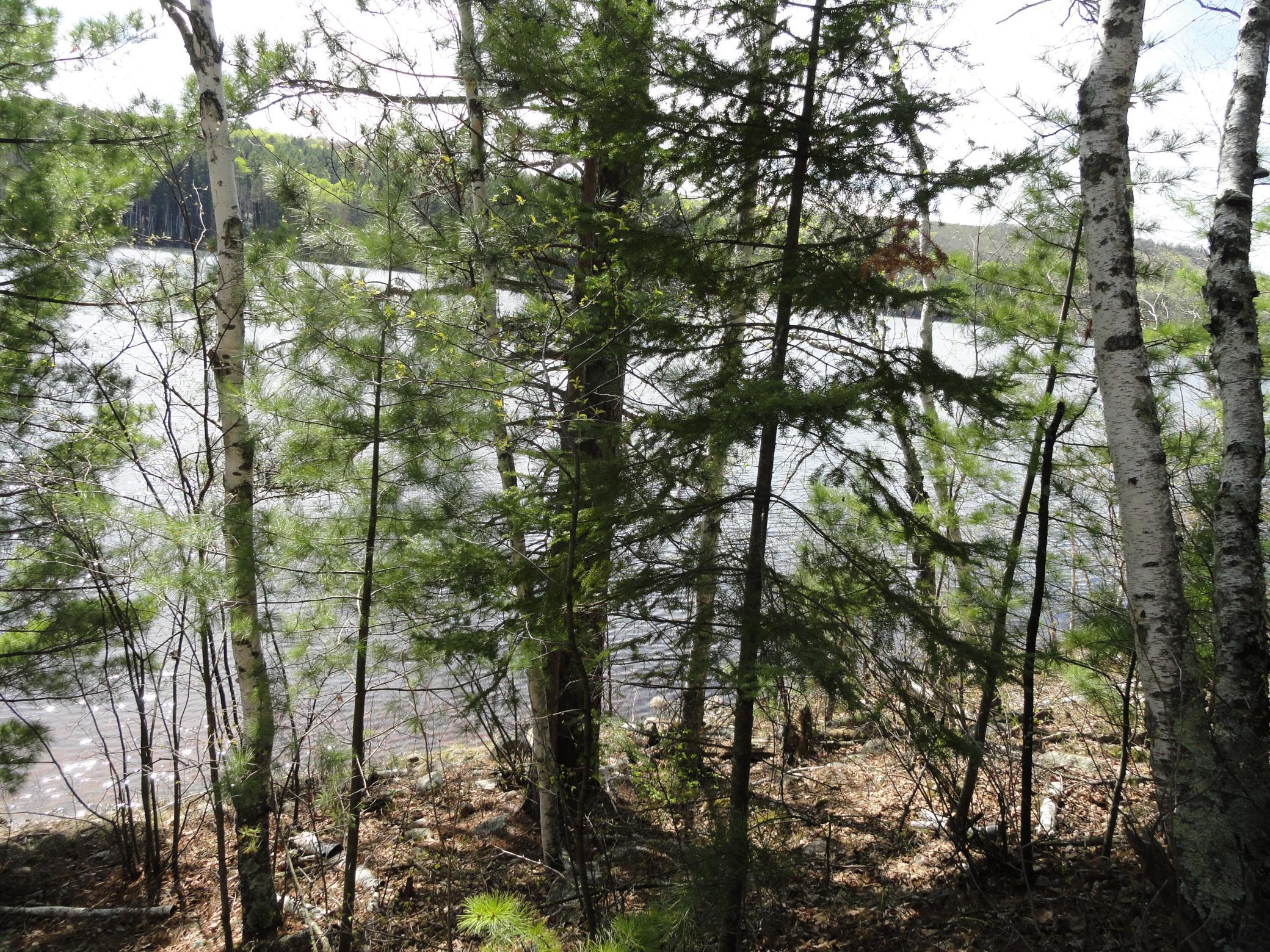 5753 Sunset Road Property Photo 16