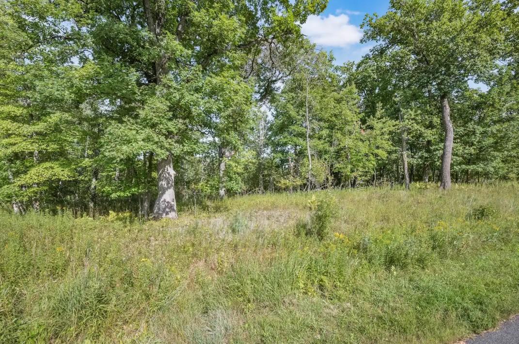 19193 Meadowridge Trail N
