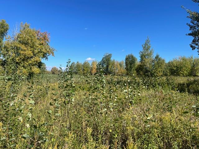 Tbd 471st Ln Property Photo 3