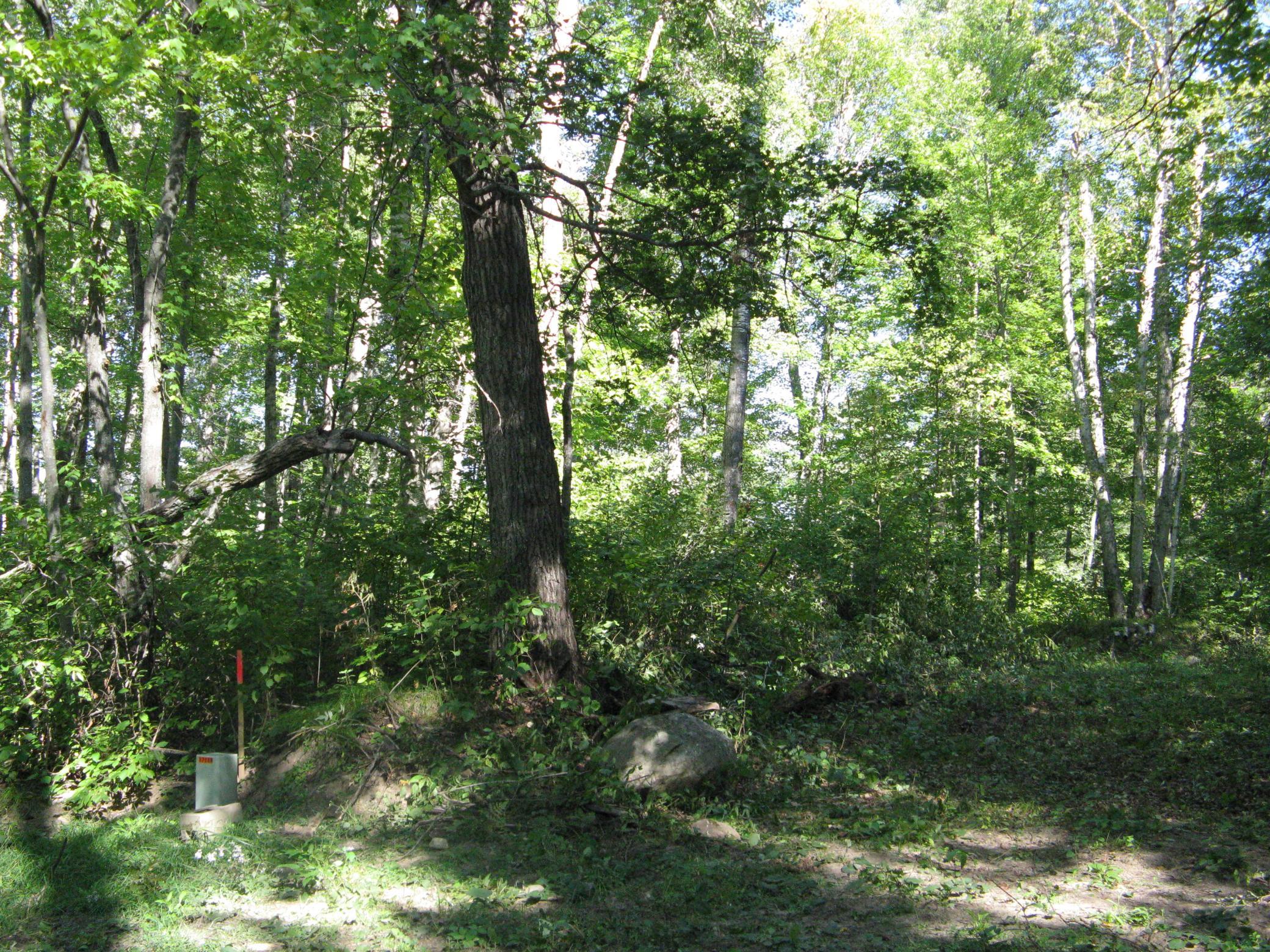 TBD Alpine Drive Property Photo 1