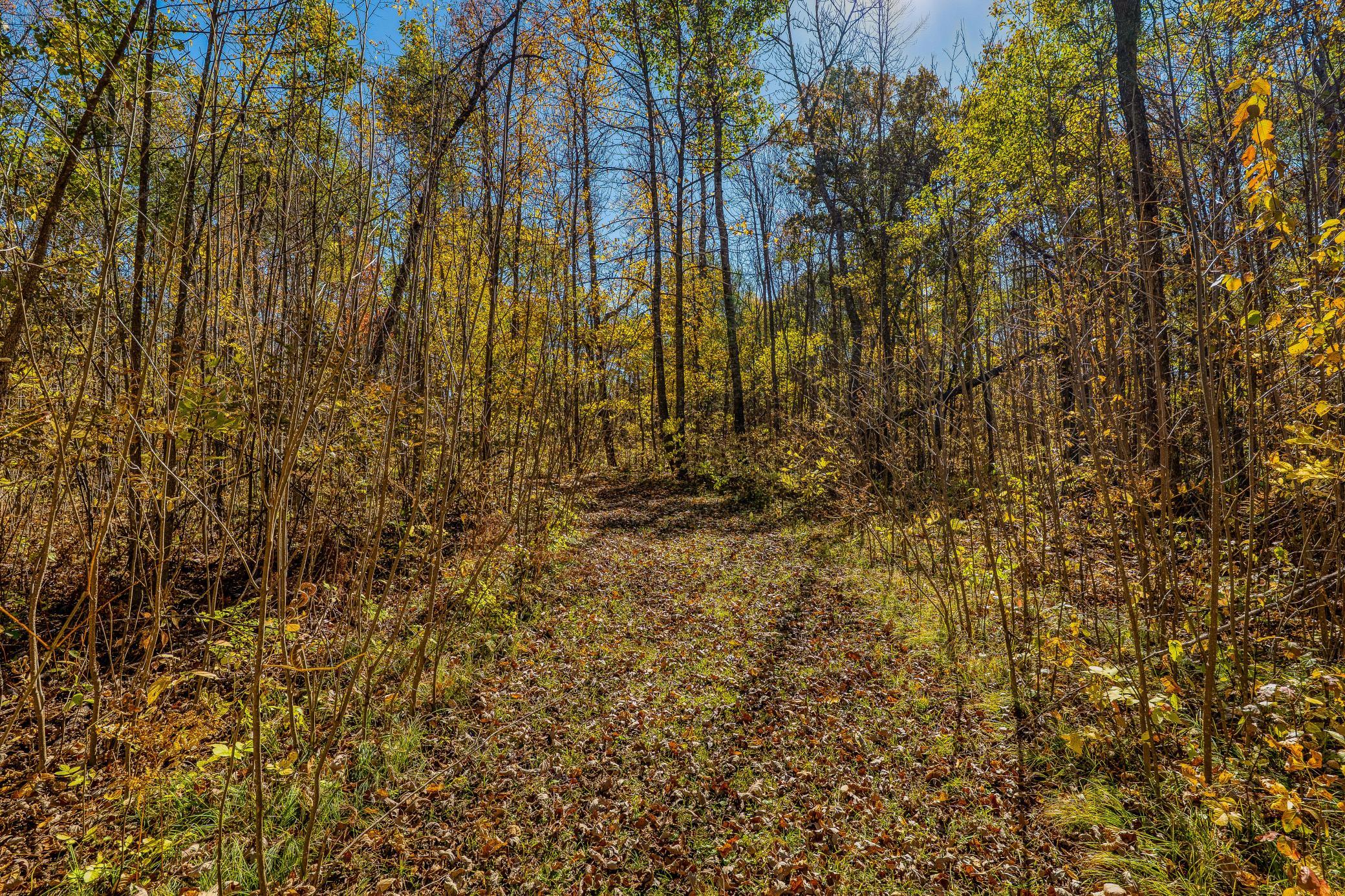 9330 Country Club Road Ne Property Photo 47