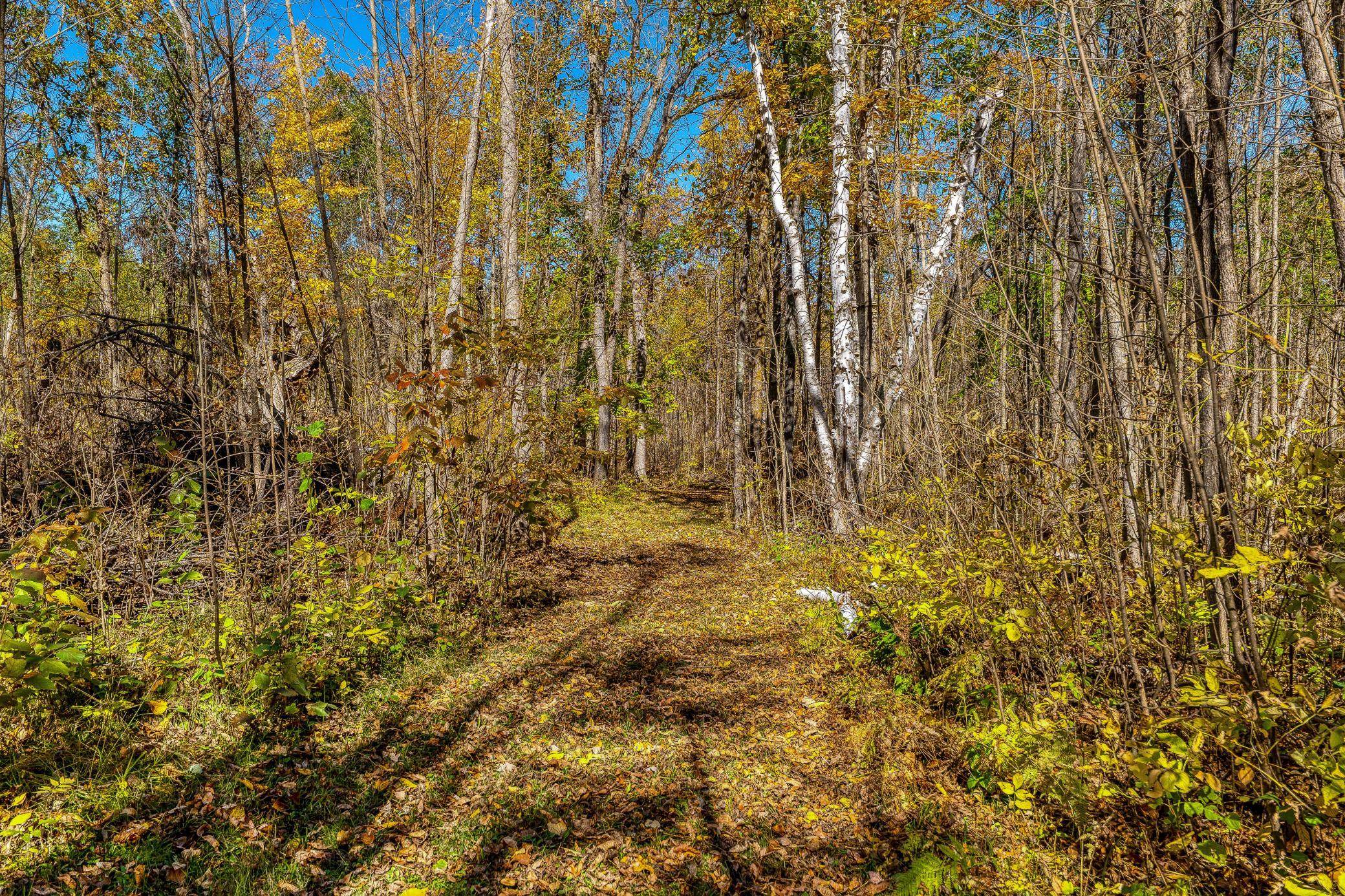 9330 Country Club Road Ne Property Photo 67