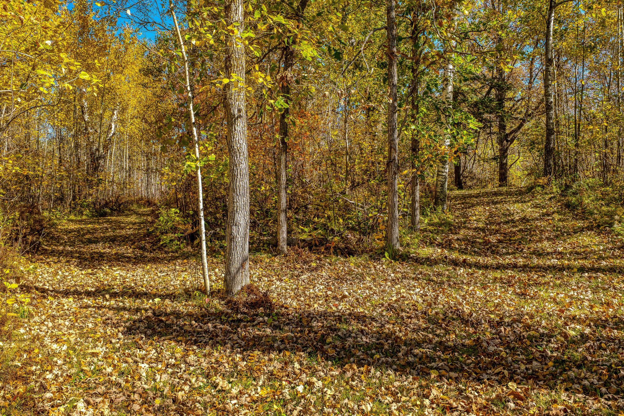 9330 Country Club Road Ne Property Photo 68