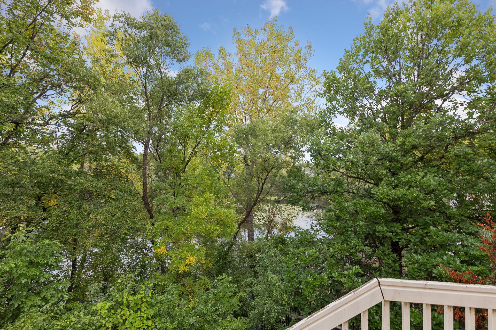 12708 Diamond Drive Property Photo 59