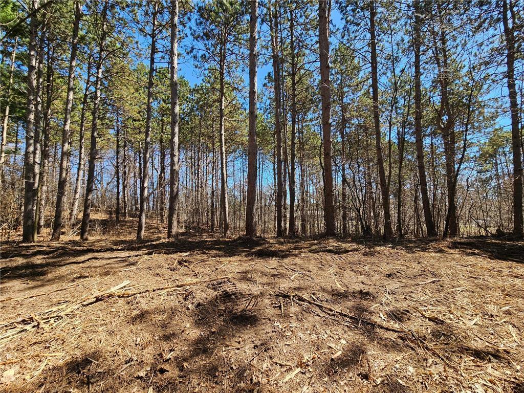 1870 County Road C Property Photo 3