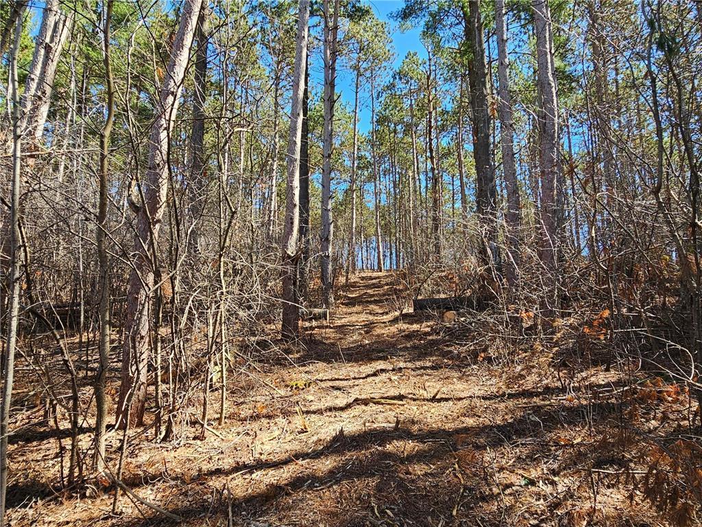 1870 County Road C Property Photo 4