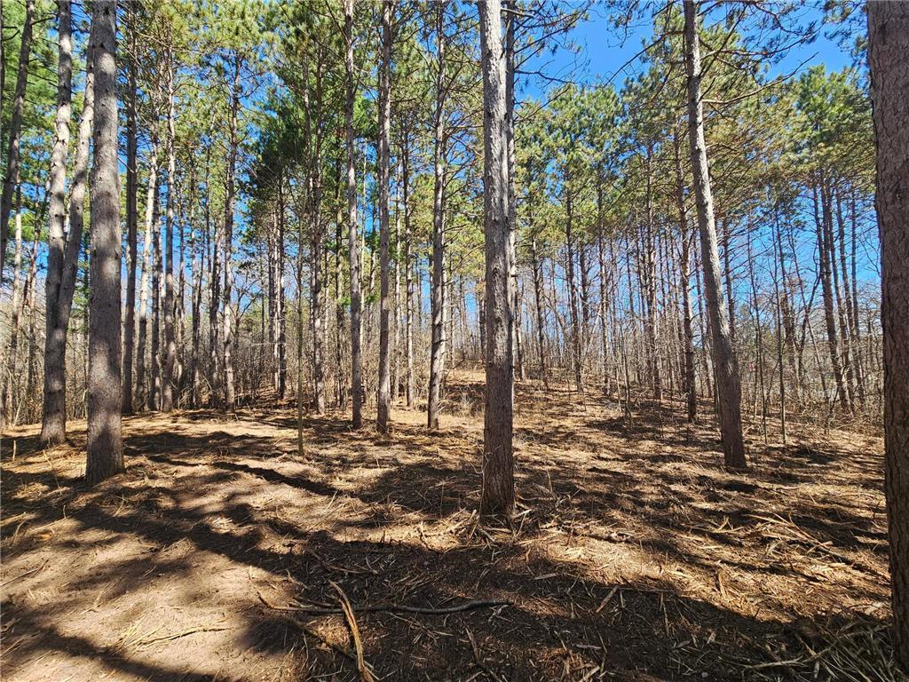 1870 County Road C Property Photo 5