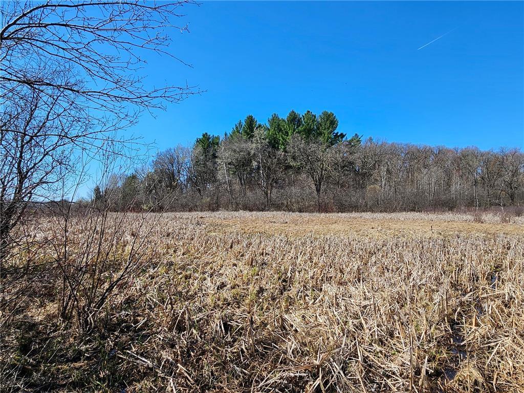1870 County Road C Property Photo 7