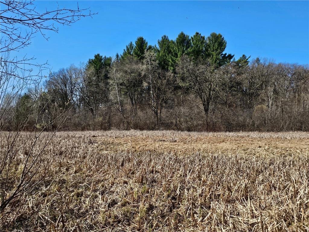 1870 County Road C Property Photo 8