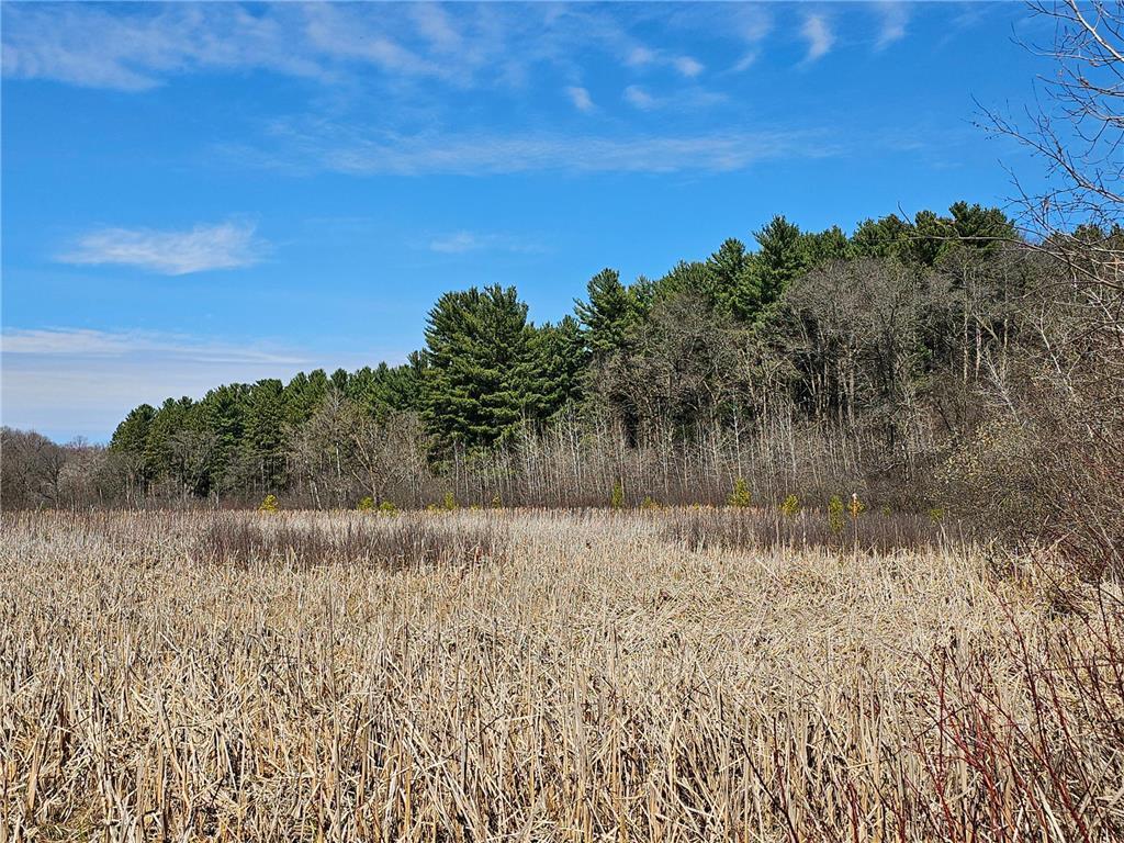 1870 County Road C Property Photo 9