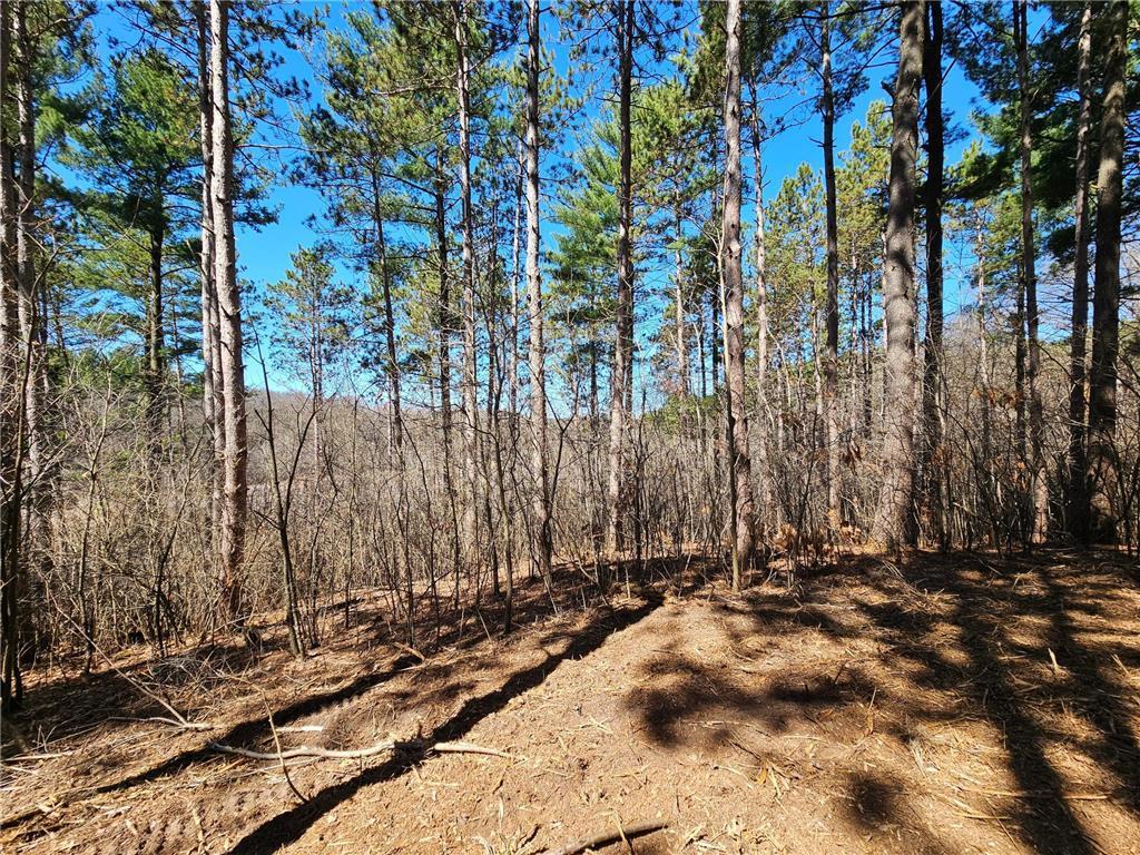 1870 County Road C Property Photo 10