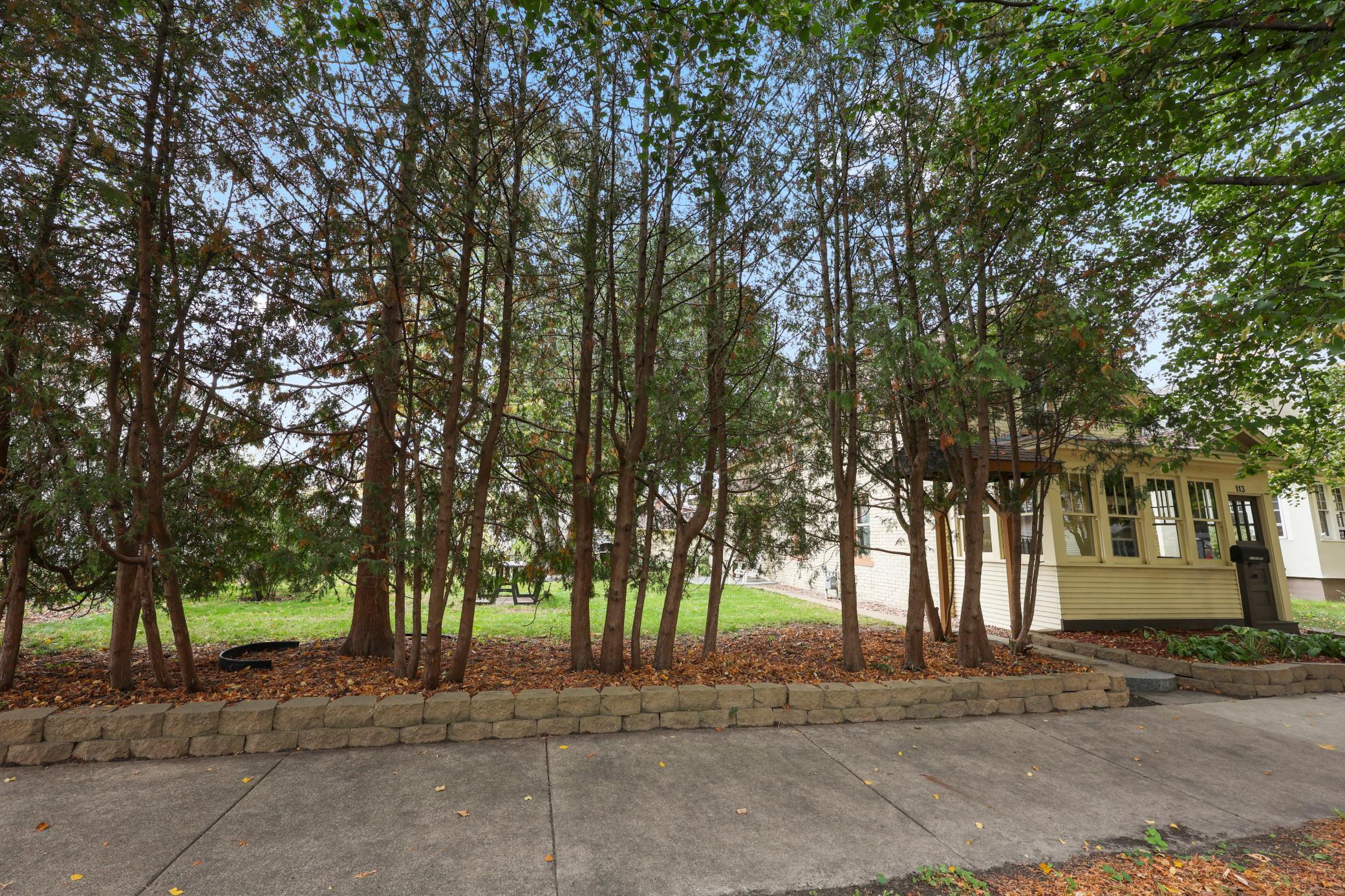 113 16th Avenue N Property Photo 55