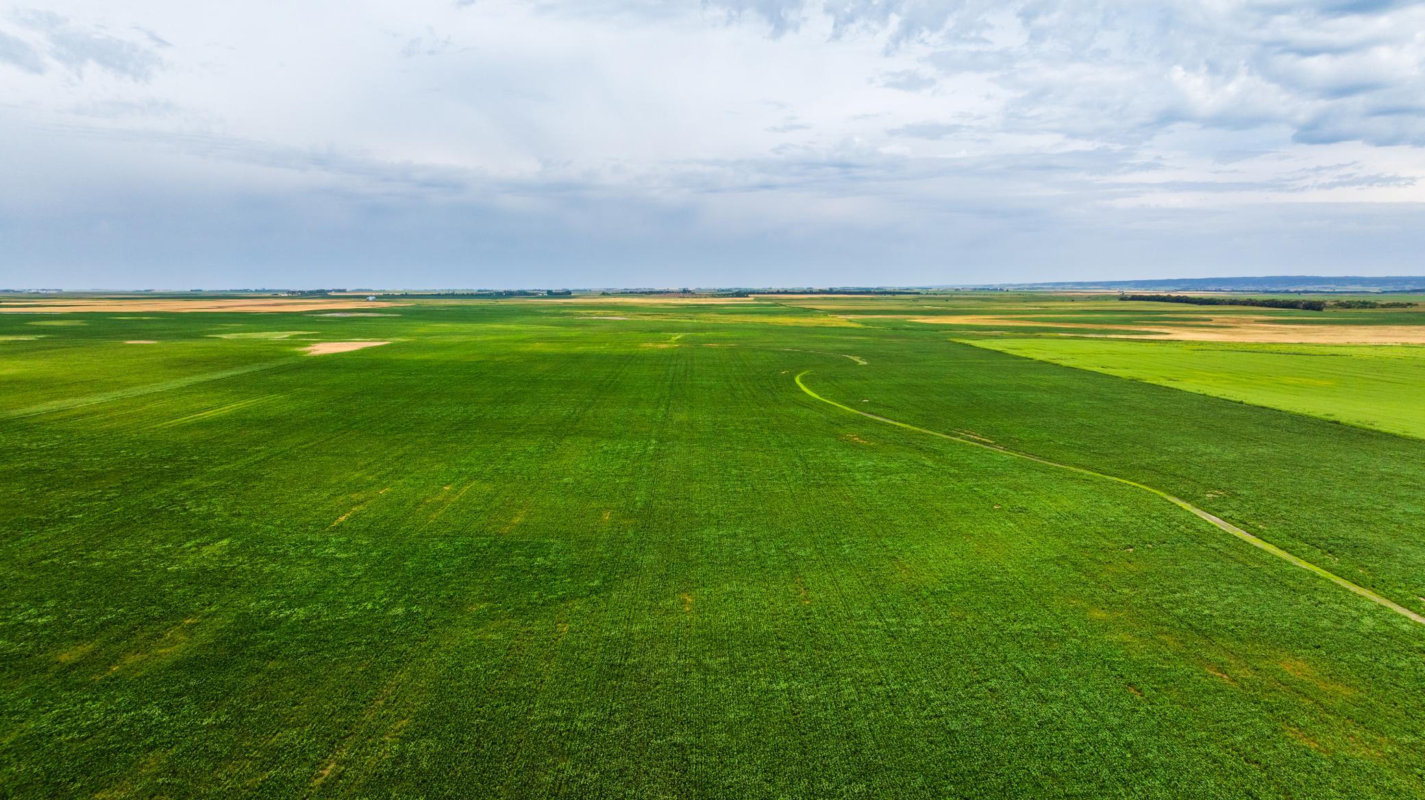 Tbd 97 St Ne Lot 3 Property Photo 1