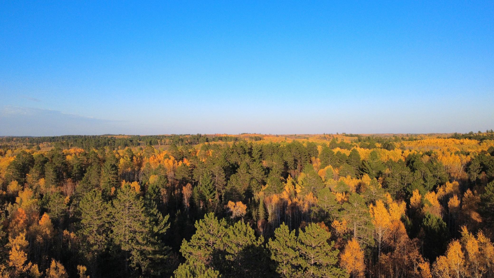 Tbd40 Highway 135 N Property Photo 3