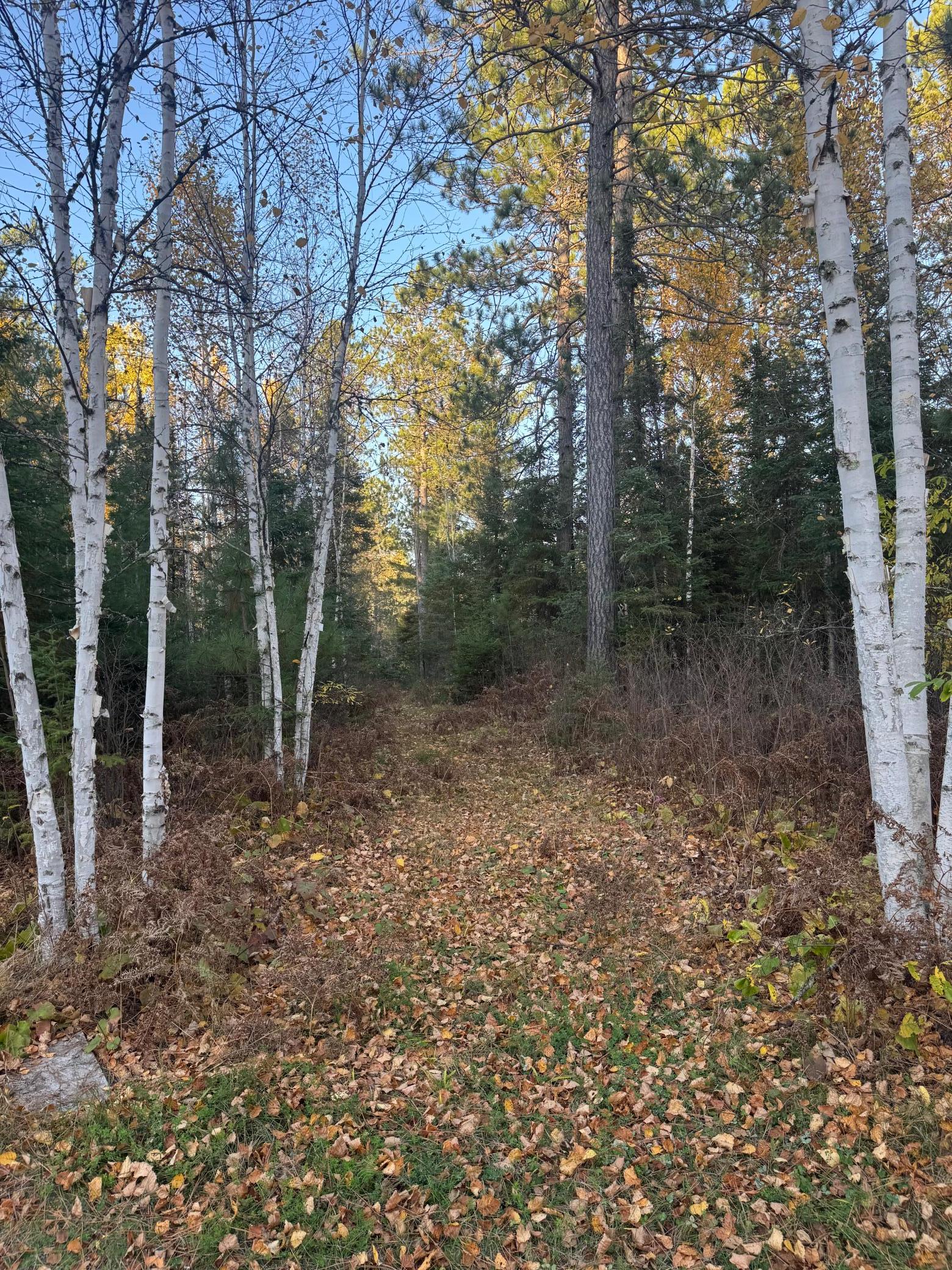 Tbd40 Highway 135 N Property Photo 18