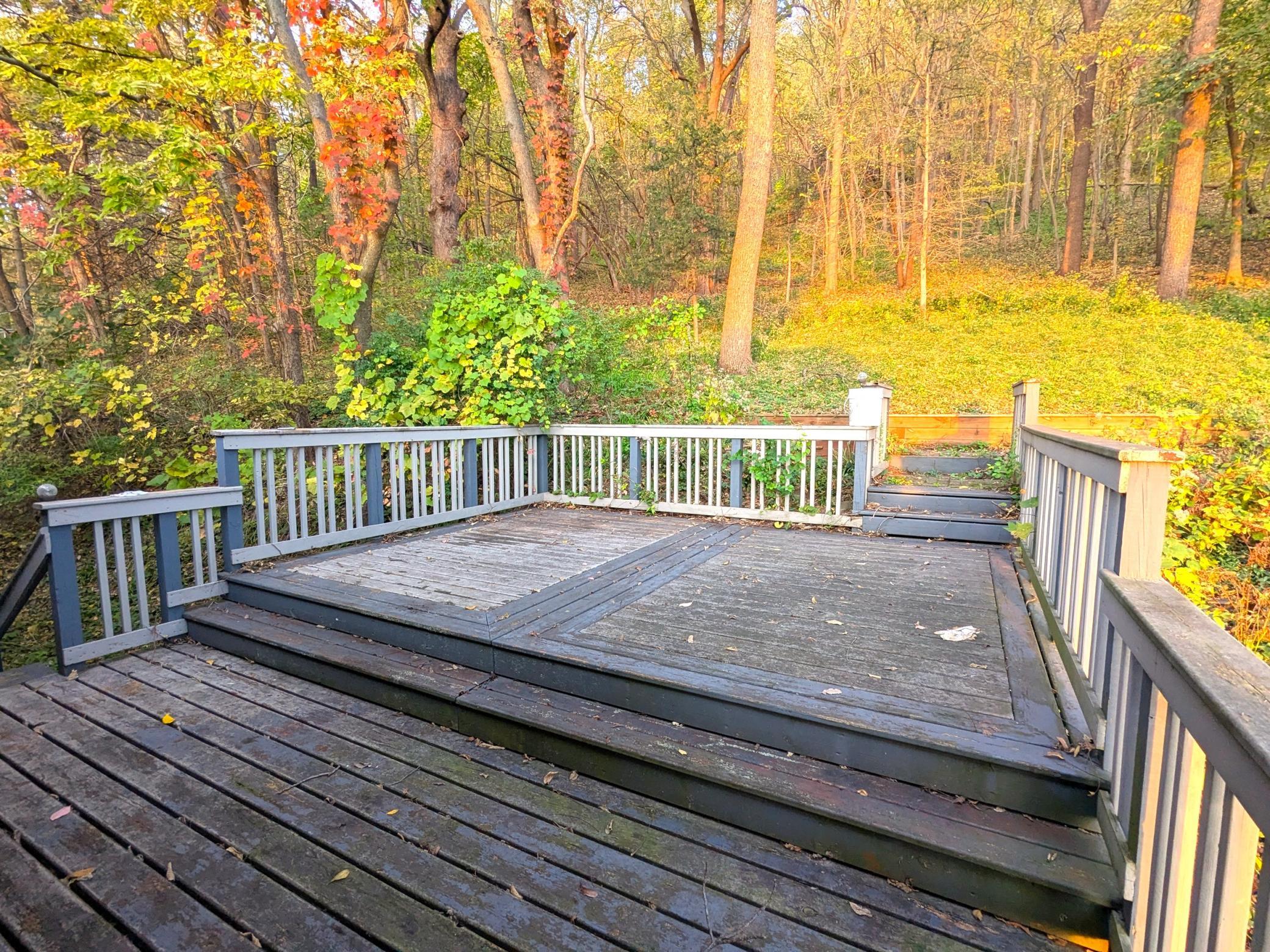 3205 Cliffside Drive Property Photo 28