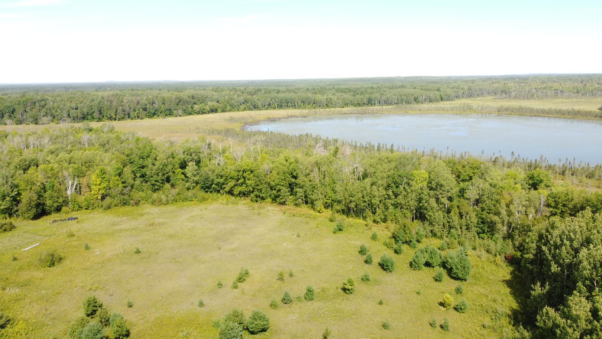 Tbd County Road 36 Property Photo 4
