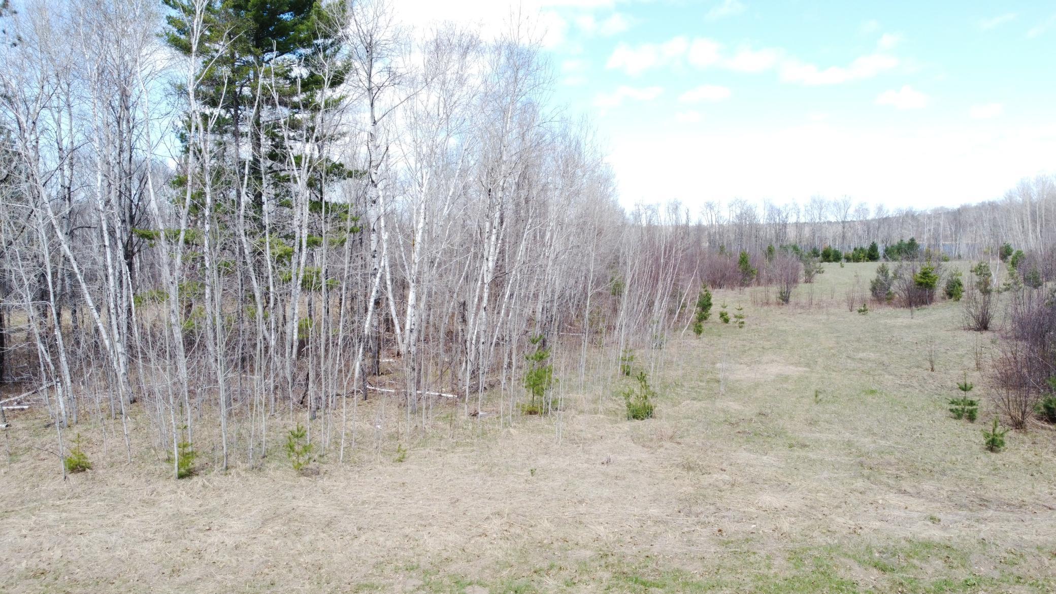 Tbd County Road 36 Property Photo 19