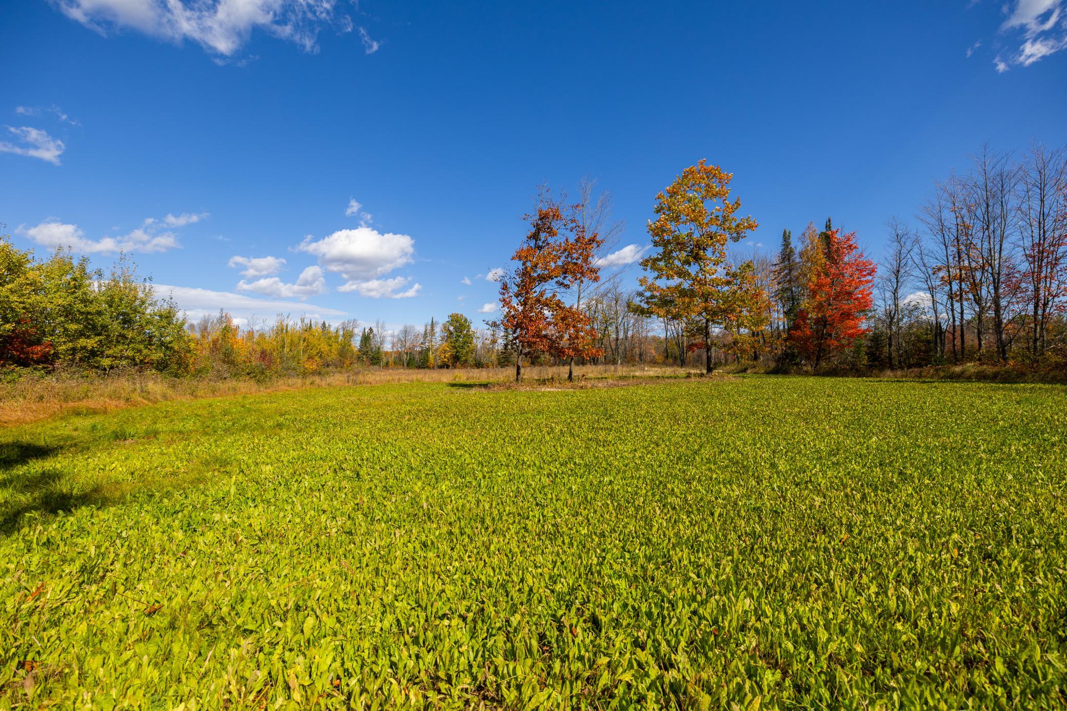 W2621 Goetzke Road Property Photo 39